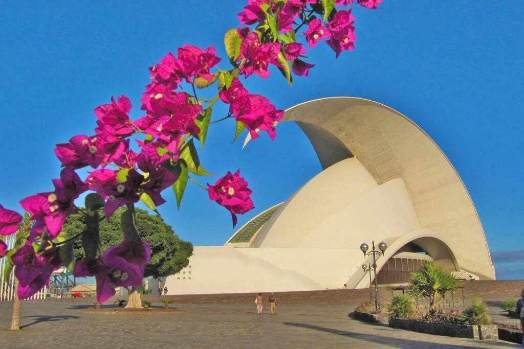 Apartamento Lázaro 26 Santa Úrsula Exteriér fotografie